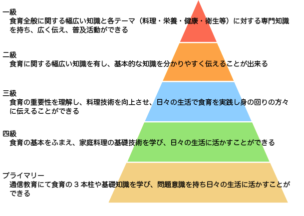 エグゼクティブ、一級、二級、三級、四級、プライマリー